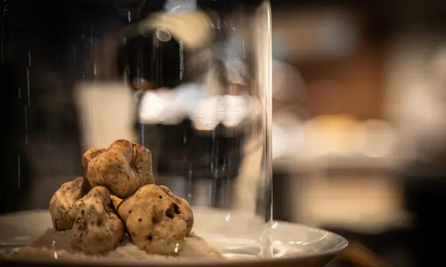 Bangkok's Four Seasons Sets White Truffle Charity Dinner for November 8
