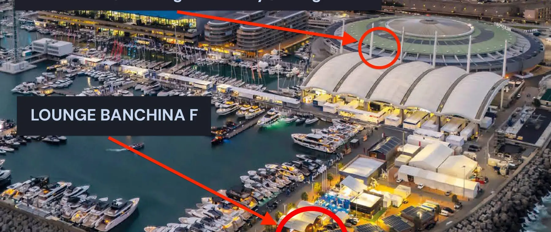 Official Foiling Organization Genoa 2026 image