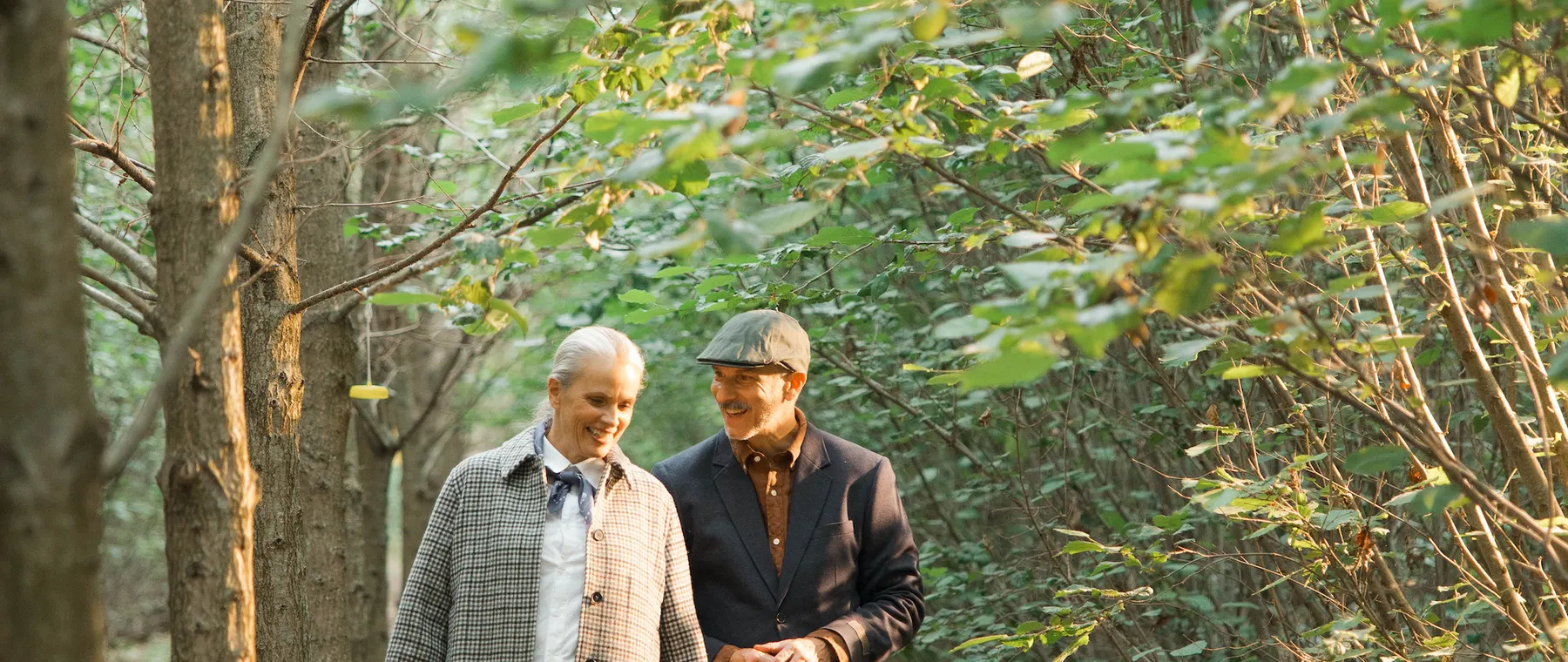 Four Seasons Budapest Adds a Private Truffle Hunt and Regional Wine Lunch