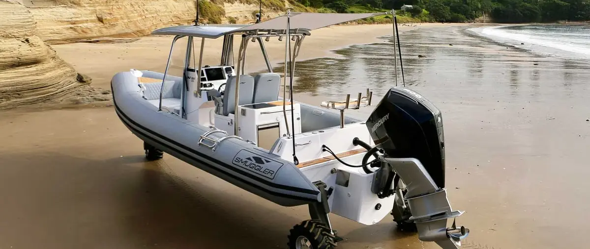 Official image from Anura official amphibious system photograph.