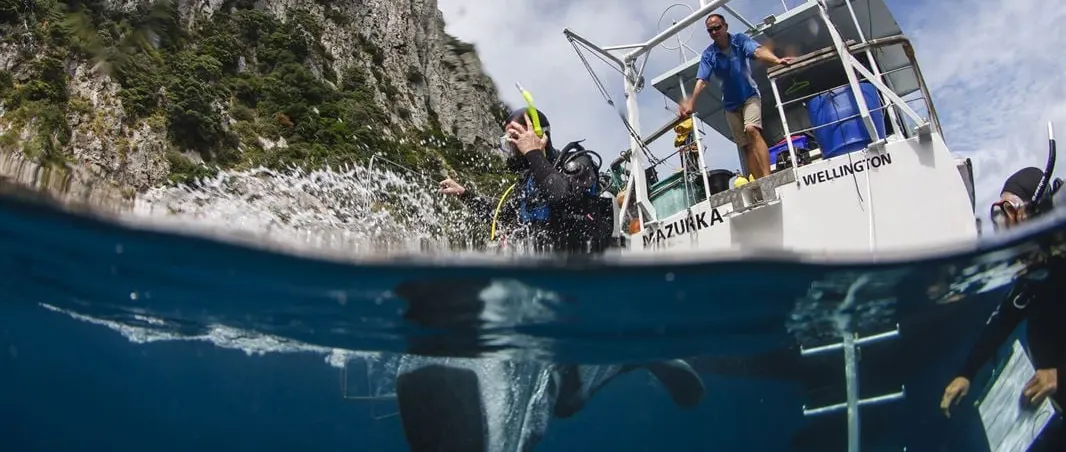 Poor Knights Islands by Luxury Yacht: Diving and the 45-Metre Exclusion