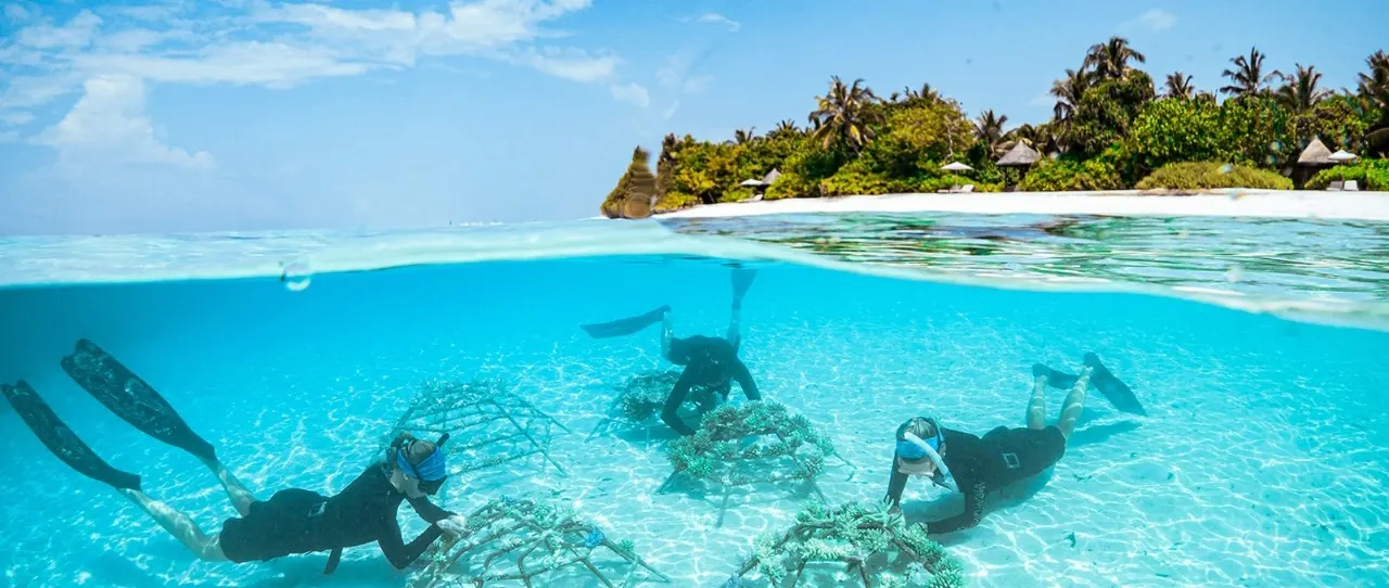 Four Seasons Maldives Wins HICAP Biodiversity and Education Award