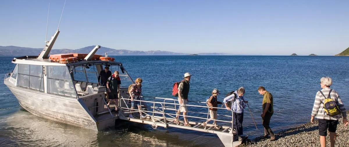 Kapiti Coast by Yacht: Marine Life and an Authorised Island Escape