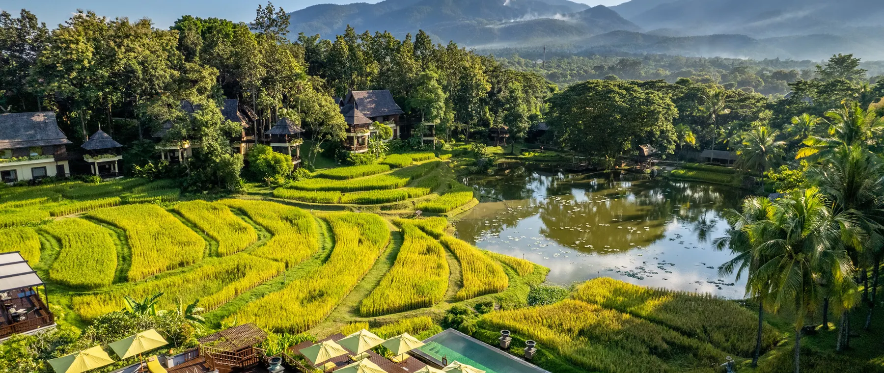 Chiang Mai Celebrates Its Rice Fields With a New Guest Journey