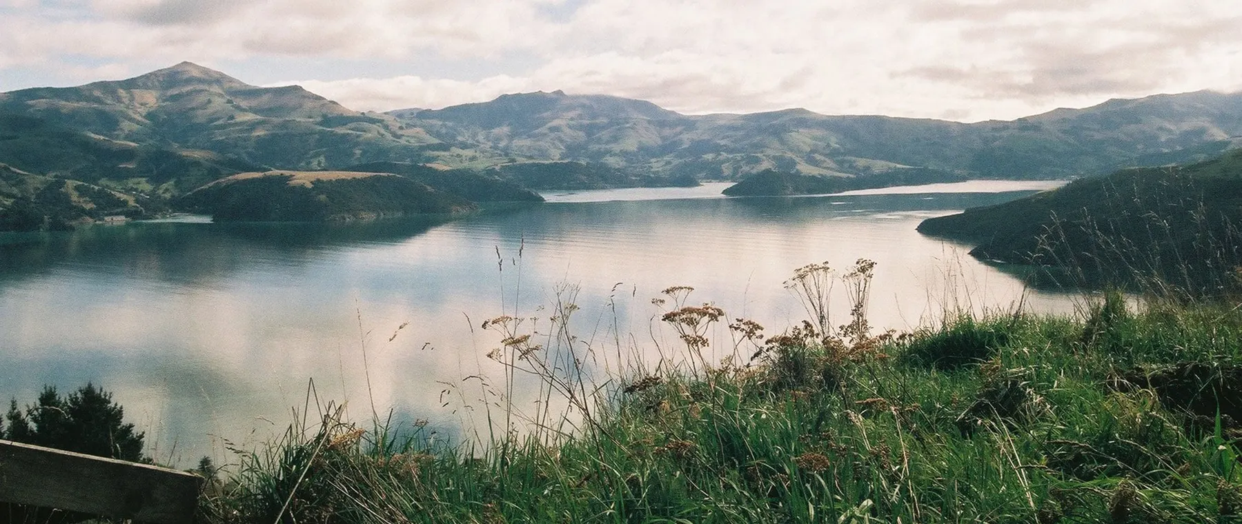 Akaroa Harbour by Luxury Yacht: Dolphins and Banks Peninsula