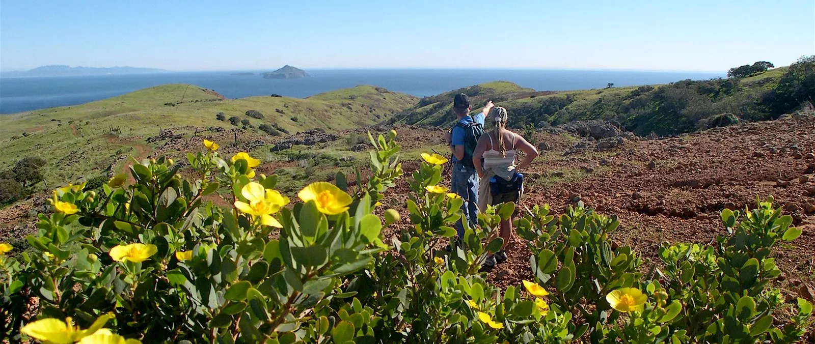 Channel Islands by Luxury Yacht: A Pacific National Park Cruising Guide