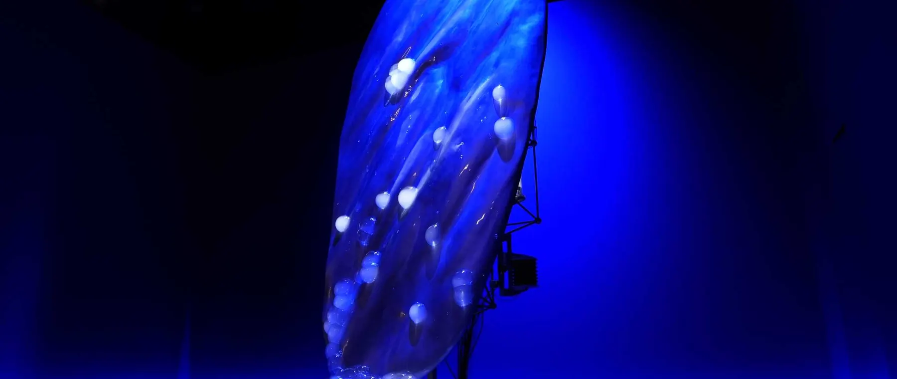 BMW Brings the New 7 Series Into A.A.Murakami's SYMBIOSIS Installation