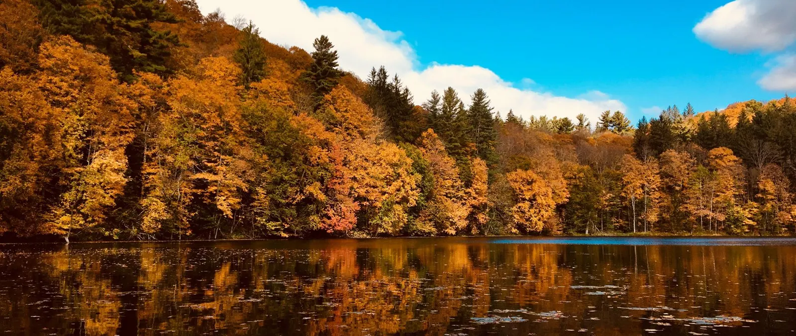 Marsh-Billings-Rockefeller: A Vermont Country Estate Built Around Conservation