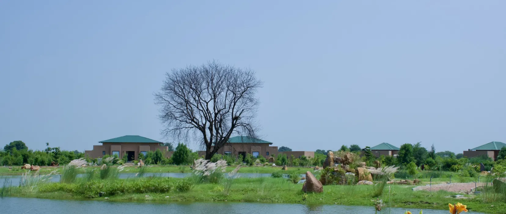 Brij Tara Opens 17-Key Wilderness Retreat at Ranthambore