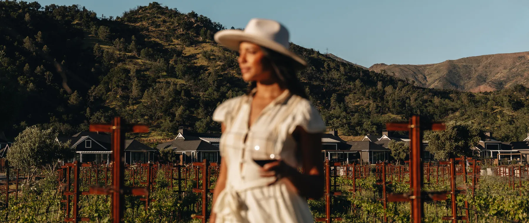 Four Seasons Napa Valley Adds Private Winery Experiences for Harvest