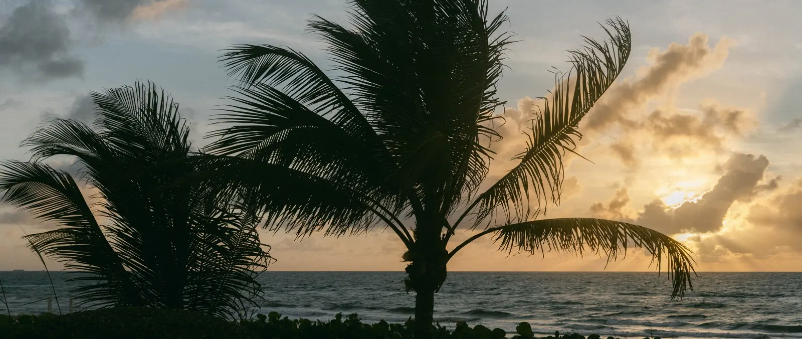 Four Seasons Palm Beach Unveils Mauro Colagreco Wine Dinners