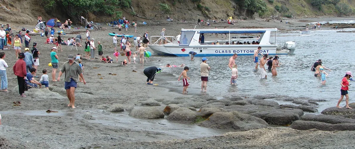 Goat Island by Yacht: A Marine-Life Day Beyond Auckland