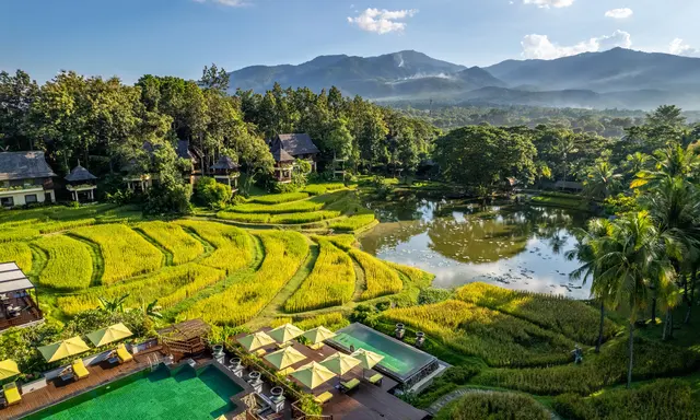 Chiang Mai Celebrates Its Rice Fields With a New Guest Journey
