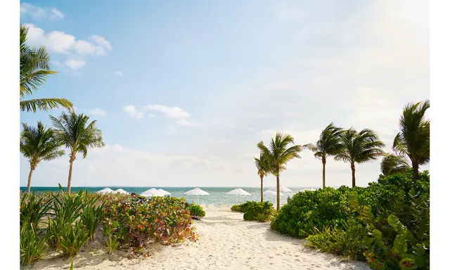 SLS Playa Mujeres Plans Two-Night Music and Dining Festival