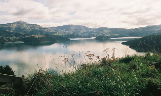 Akaroa Harbour by Luxury Yacht: Dolphins and Banks Peninsula