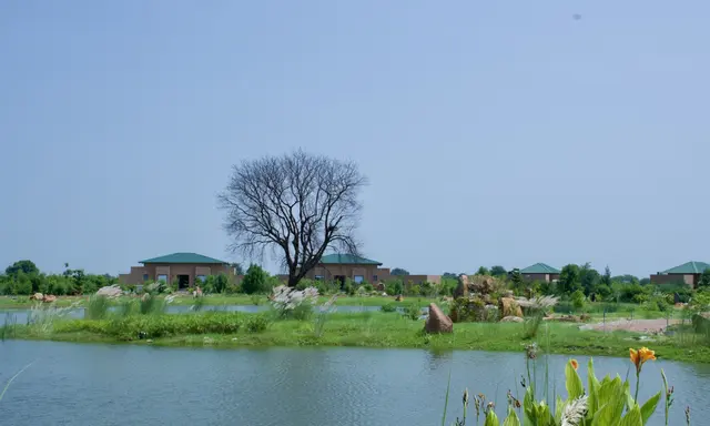 Brij Tara Opens 17-Key Wilderness Retreat at Ranthambore