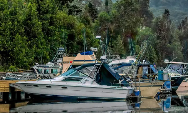 Isle Royale by Luxury Yacht: A Private Lake Superior Wilderness Voyage
