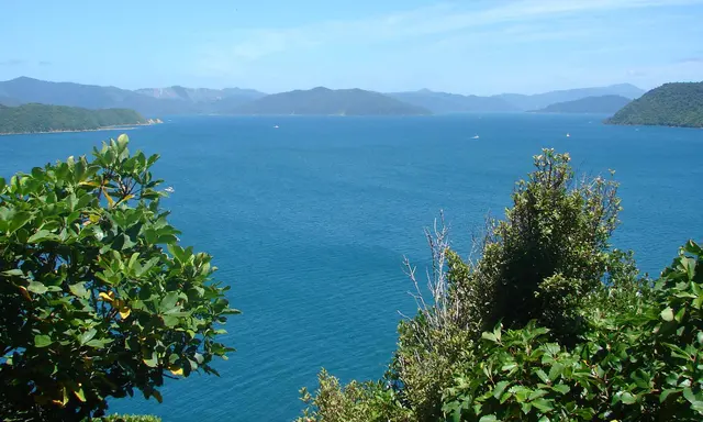 Motuara Island by Luxury Yacht: Queen Charlotte Sound and Native Birds