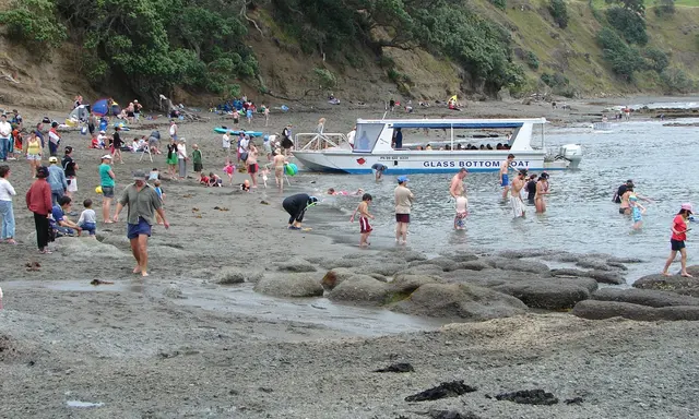Goat Island by Yacht: A Marine-Life Day Beyond Auckland