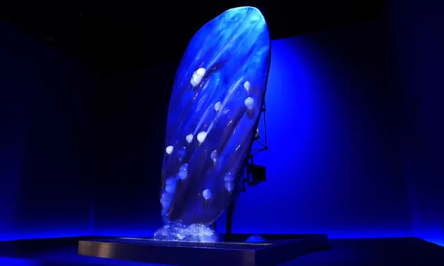 BMW Brings the New 7 Series Into A.A.Murakami's SYMBIOSIS Installation