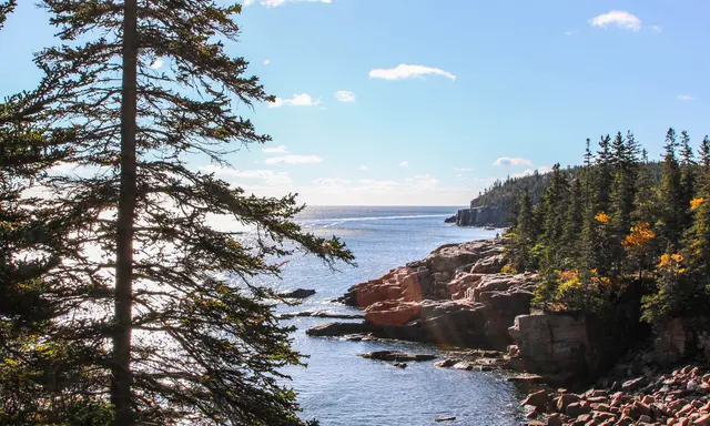 Acadia by Luxury Yacht: Bar Harbor, Frenchman Bay and Island Escapes