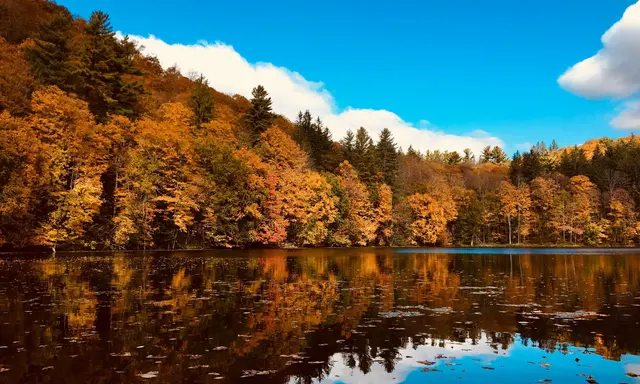 Marsh-Billings-Rockefeller: A Vermont Country Estate Built Around Conservation