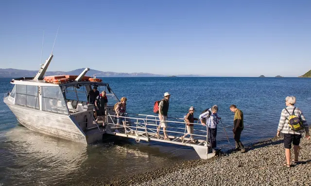 Kapiti Coast by Yacht: Marine Life and an Authorised Island Escape