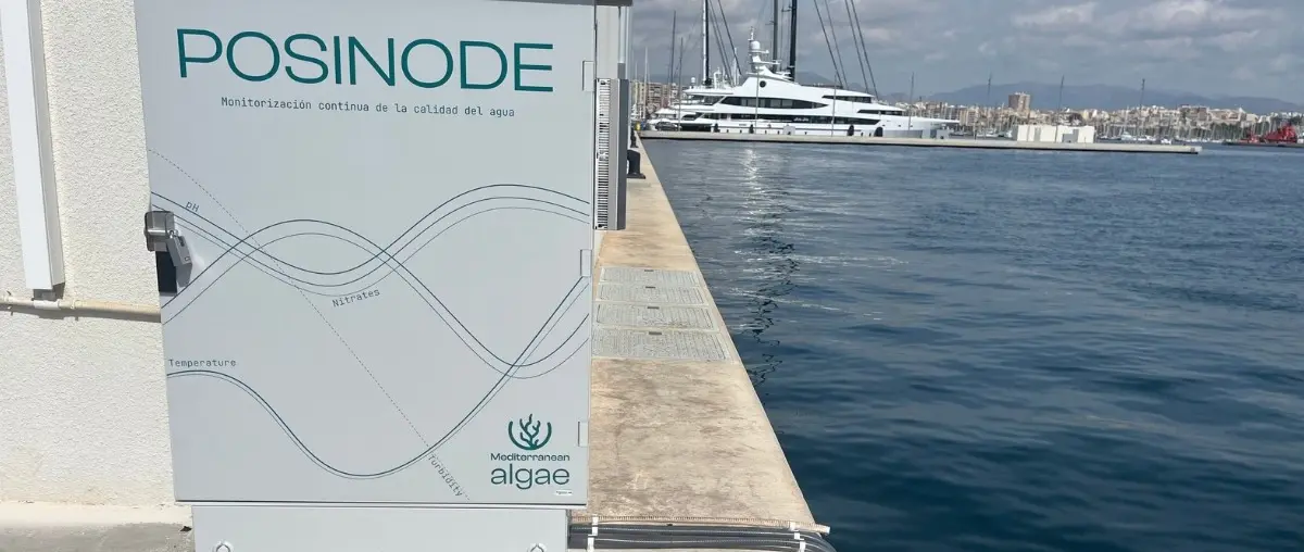 Official image supplied by Club de Mar-Mallorca / Mediterranean Algae project photograph distributed with the POSINODE announcement.