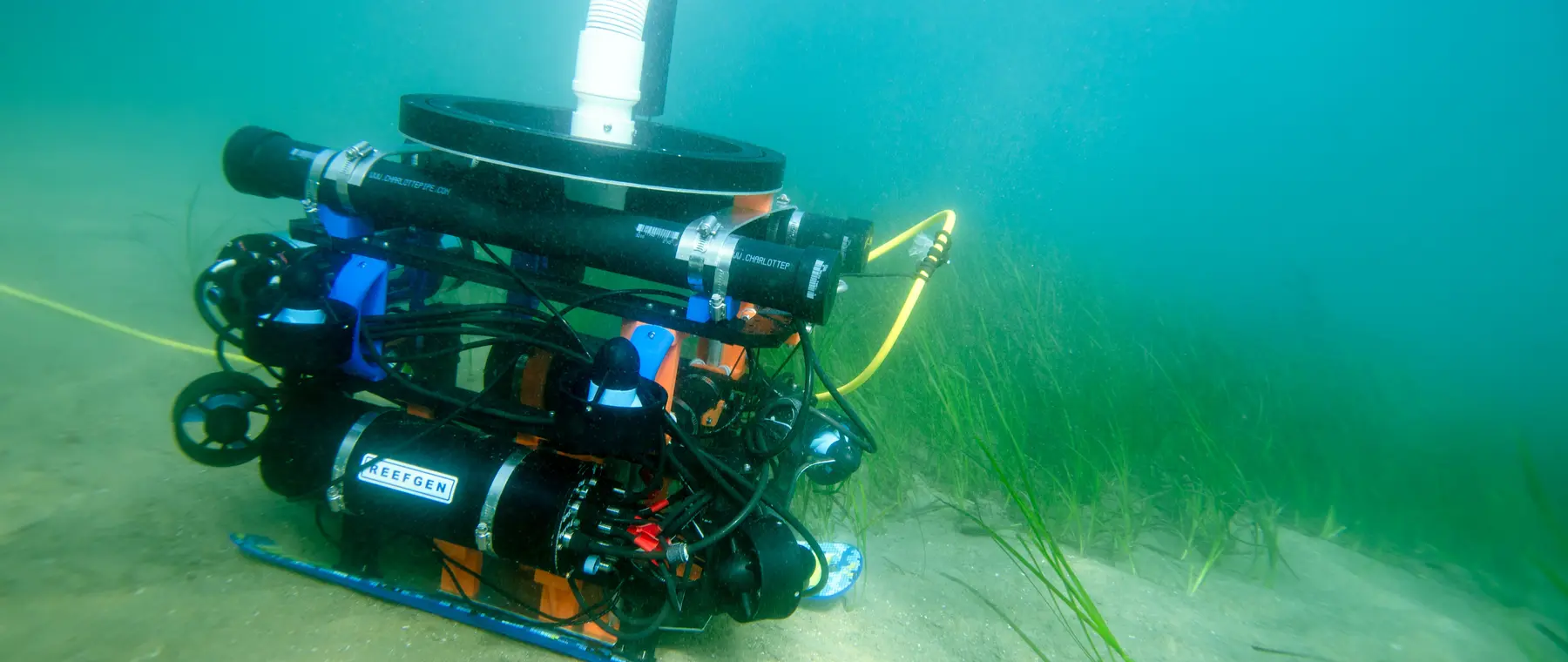 Official image supplied by Reefgen official Grasshopper robot photograph.