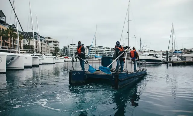 Cape Town V&A Waterfront Marina Retains Blue Flag for Eighth Season