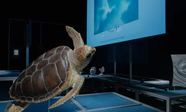 Luna Rossa Base in Cagliari Hosts UNESCO Ocean & Climate Village