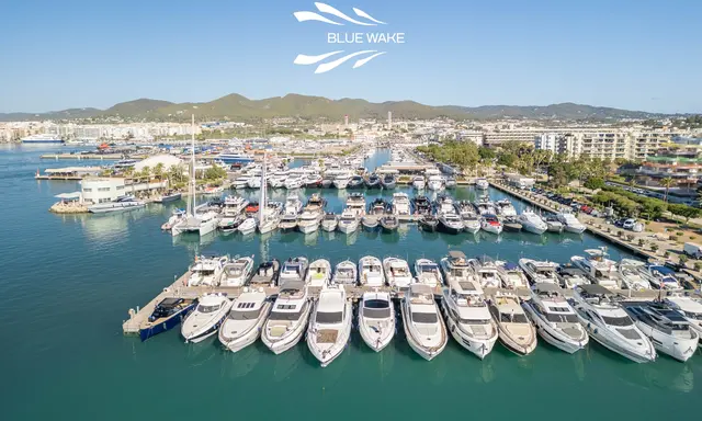 Marina Ibiza Expands Posidonia Restoration With Owner Adoption Scheme
