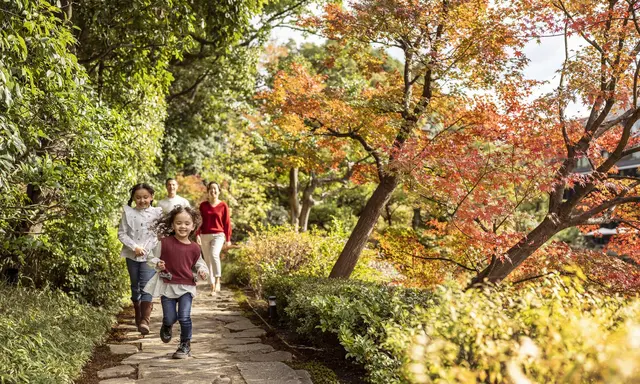Four Seasons Maps Autumn Travel Across Kyoto, Hangzhou and Thailand