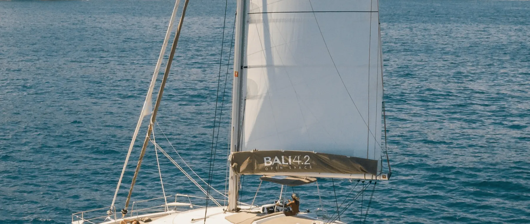 BALI 4.2 — official manufacturer image