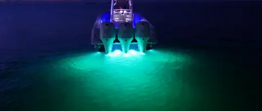 OceanLED-supplied image of the Sport Mini underwater light.