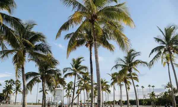 Pardo Yachts Confirms Fort Lauderdale Return for 2026