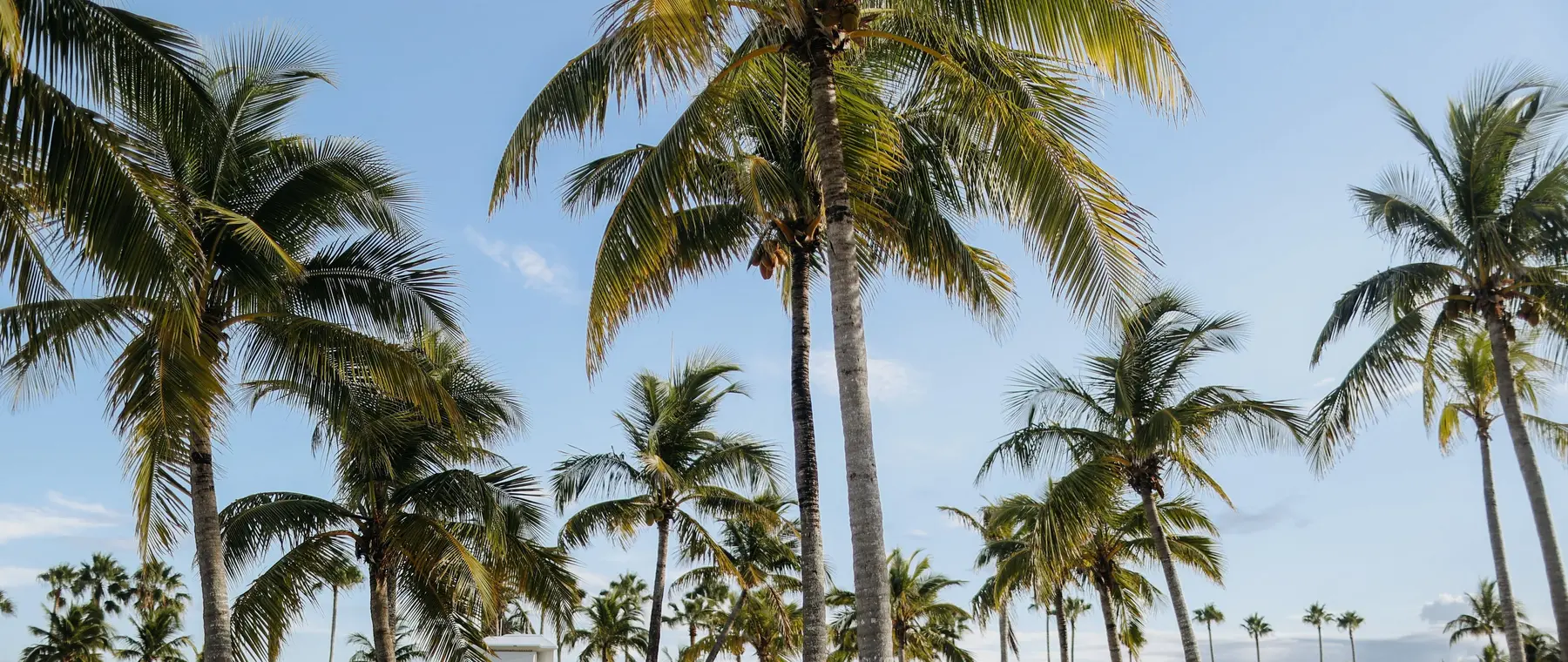 Official Pardo Yachts Fort Lauderdale image